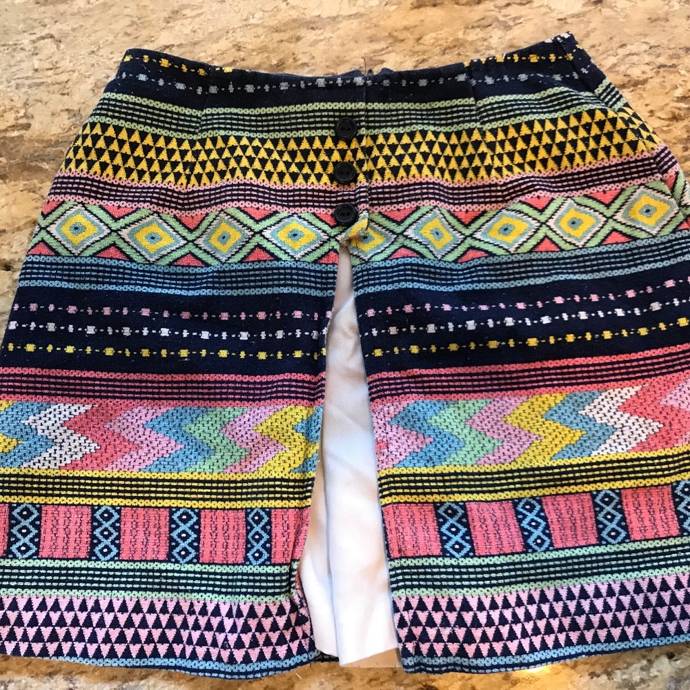 Vintage High Waisted Shorts/Skirt